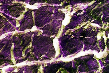 AP 61A